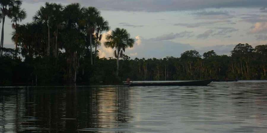 From Tambopata: Amazon Jungle Hike and Lake Sandoval 1-Day - Canoe Ride on Lake Sandoval: Otters, Caimans, and Quiet Watching