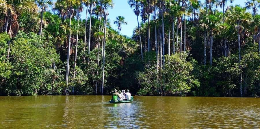 From Tambopata: Amazon Jungle Hike and Lake Sandoval 1-Day - Group Size, Guides, and the Reality of Being Out in Nature