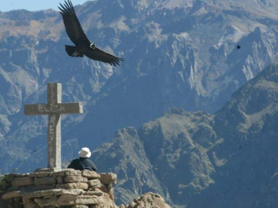 Full-Day Colca Canyon Tour from Arequipa - Why this Colca Canyon day trip works from Arequipa