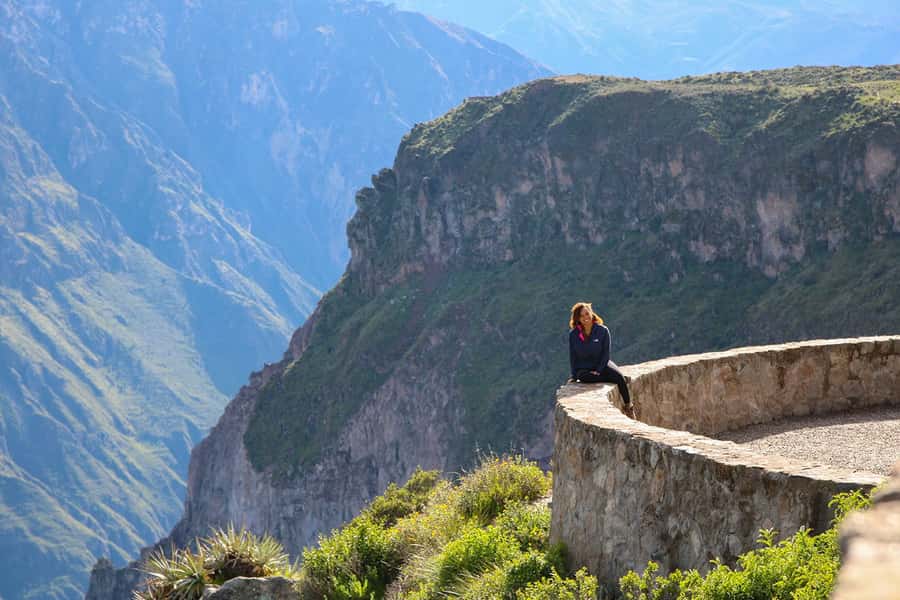 Full-Day Colca Canyon Tour from Arequipa - Pampa Cañahuas, Aguada Blanca, and Salinas: the vicuña moment
