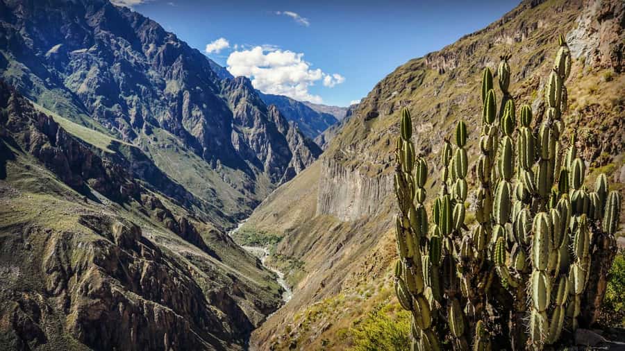 Full-Day Colca Canyon Tour from Arequipa - Mirador de la Cruz del Cóndor: how the condor viewing really feels
