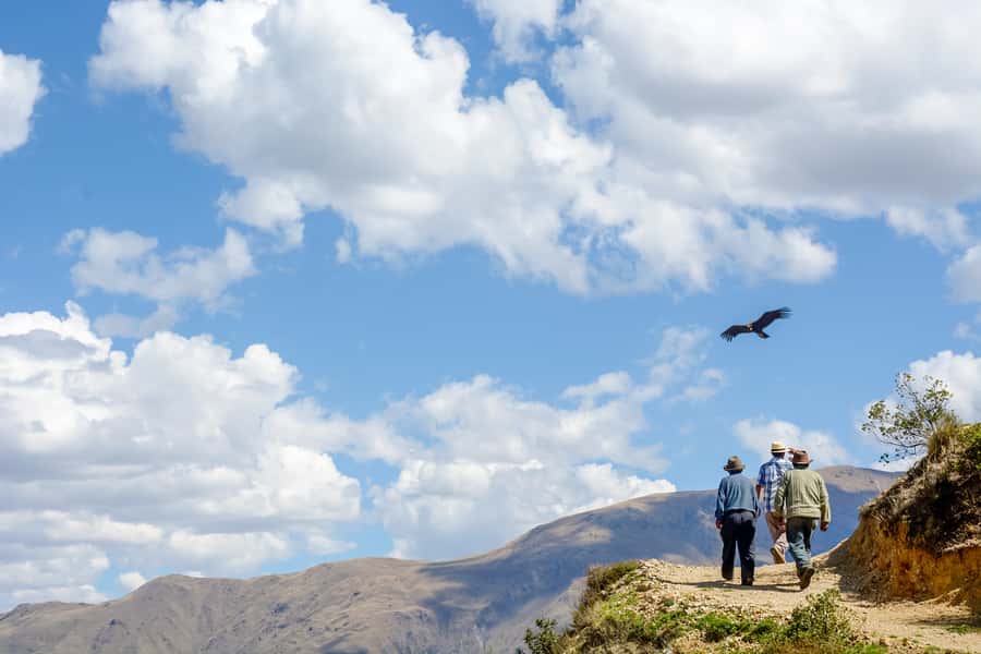 Full-Day Condor Viewpoint & Inca Sites Tour - Key things to know before you go