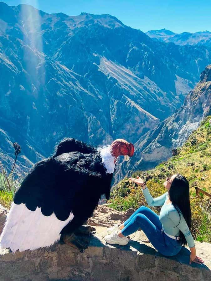 Full day excursion to Colca Canyon - Cruz del Cóndor at 08:30: the canyon moment you came for