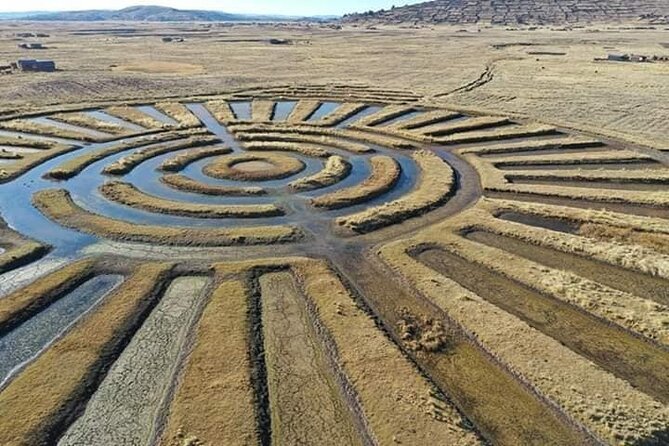 Full Day Guided Tour of the Aymara Route from Puno - Key highlights to watch for