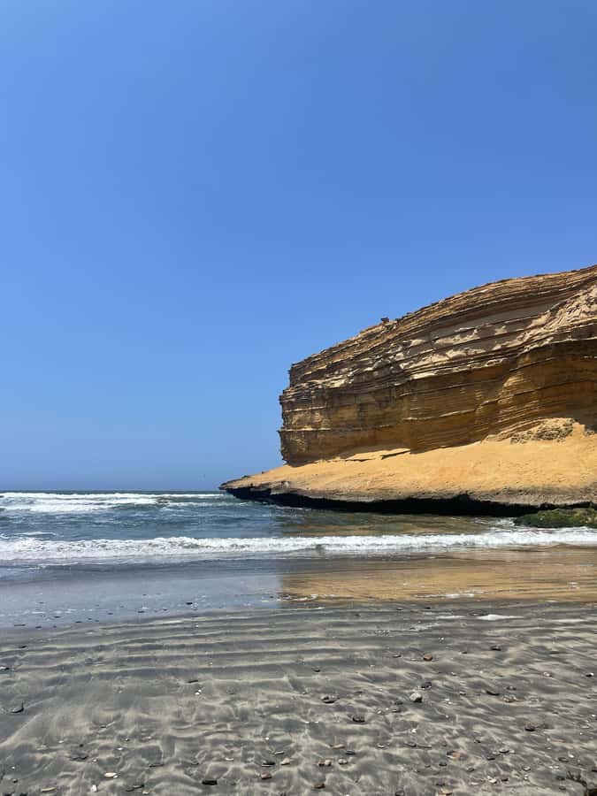 FULL DAY PARACAS - ICA - Midday timing: your free hour in Paracas and food you can actually choose