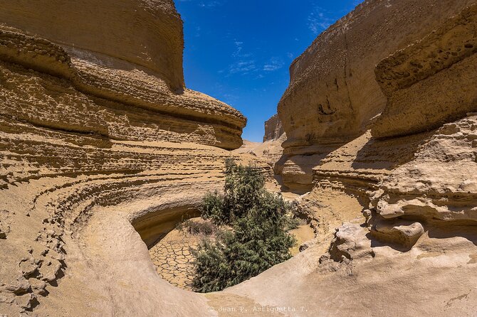 Full Day Tour Canyon of the Lost in Ica Desert - Transport reality: shared mobility, private group, and a ride over rough ground