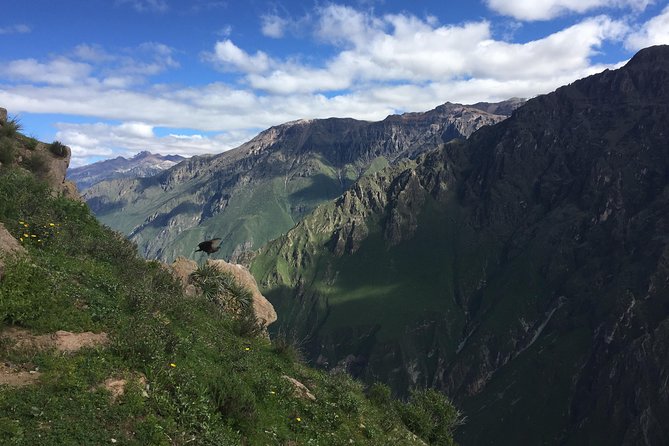 Full Day Tour / Colca Canyon - The early Condor’s Cross run: why 3:00 am is a feature