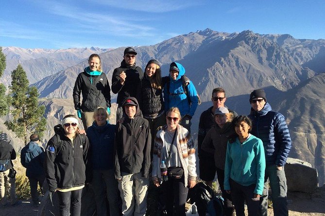 Full Day Tour / Colca Canyon - Stop 4, Salinas y Aguada Blanca National Reserve: quick camelids and volcanos