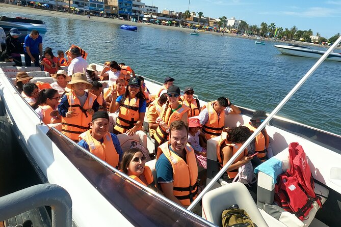 Full day Tour Paracas Ica & Huacachina from Lima. - Cruising Las Islas Ballestas from Paracas