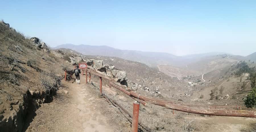 Hiking Lomas de Lachay in Lima - Should you book this tour?