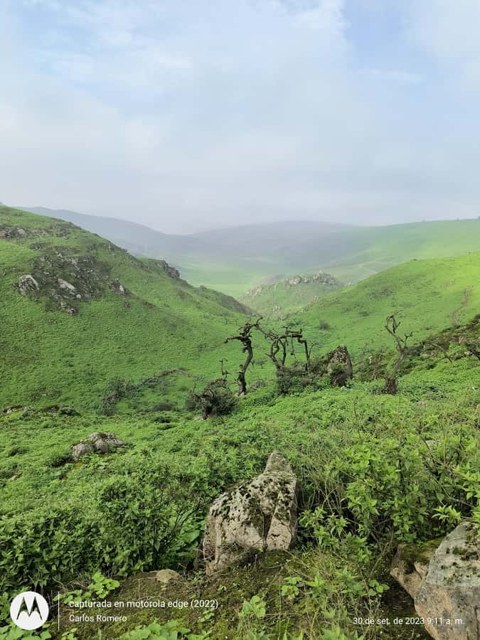 Hiking Lomas de Lachay in Lima - Lomas de Lachay starts with an early Lima goodbye