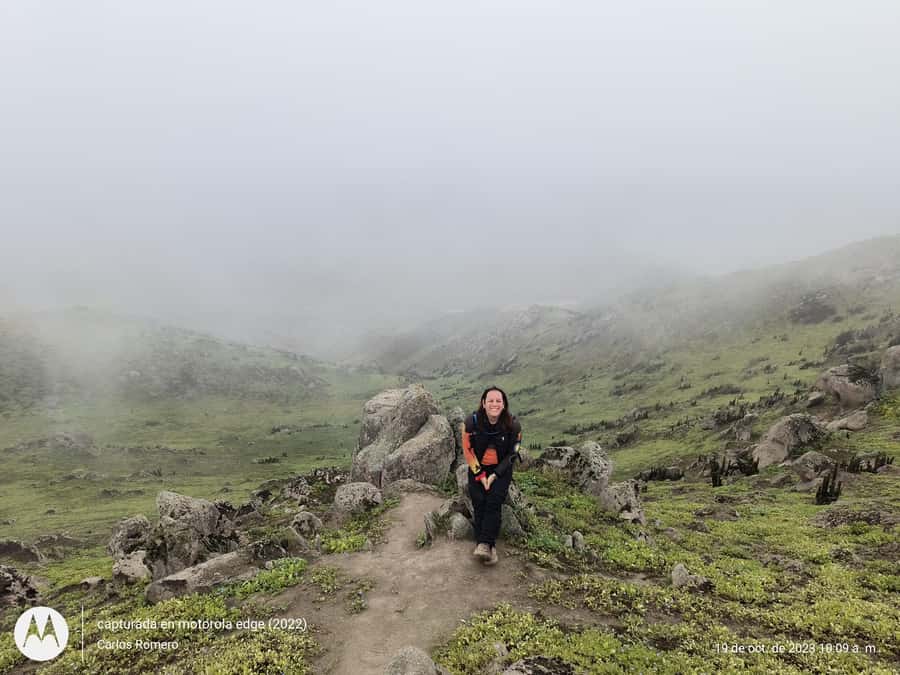 Hiking Lomas de Lachay in Lima - Dunes, hills, and views: how to enjoy the trail for real