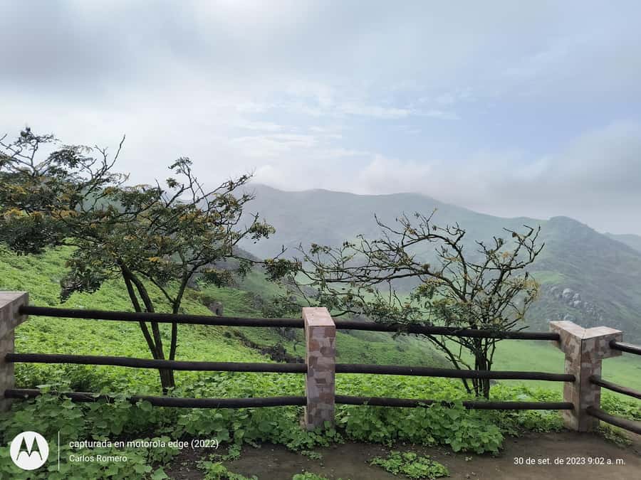 Hiking Lomas de Lachay in Lima - Guide quality can swing the day, so here’s what to watch