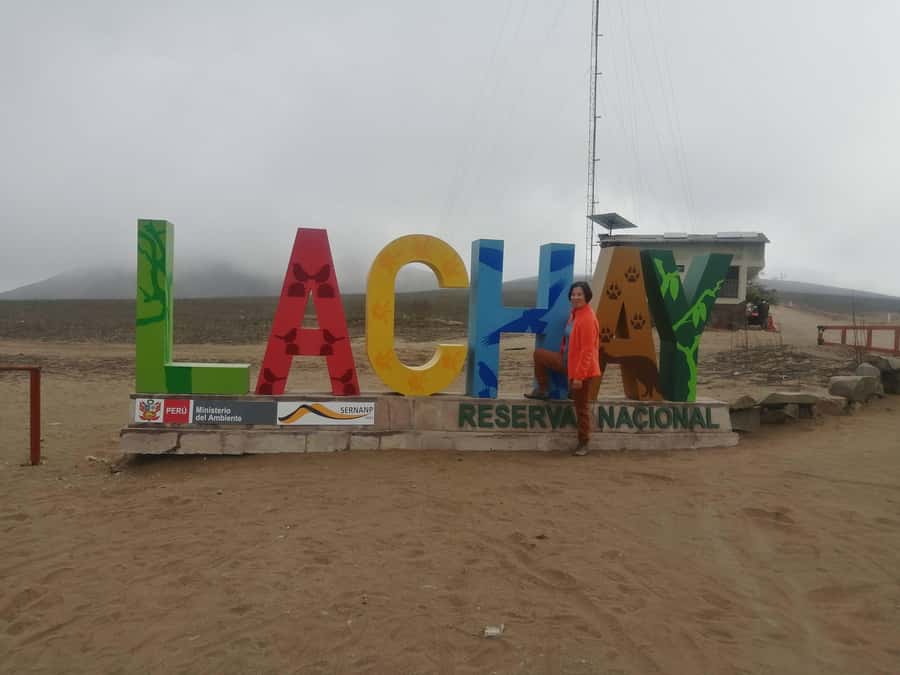 Hiking Lomas de Lachay in Lima - The 2-hour hike: moderate fitness, straightforward walking