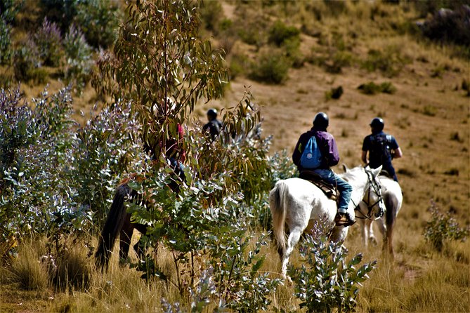 Horse Riding Chacan Mountain And Temple Of The Moon - Meet Gabriel’s Ranch, Peruvian Paso Horses, and Your Guides