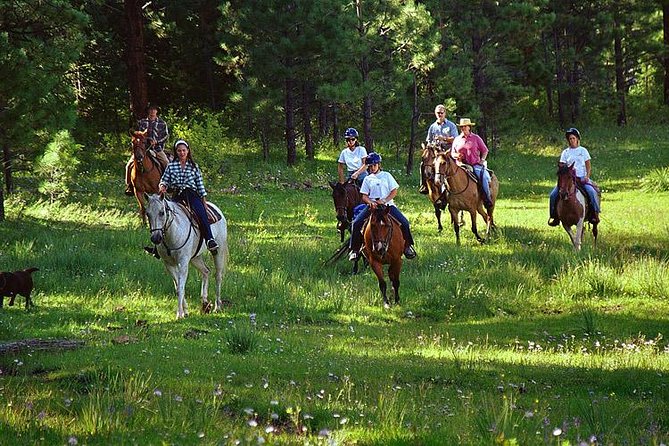 Horseback Riding Plus Tour to Sacsayhuaman, Quenqo, Puka Pucara and Tambomachay - The group size, timing, and what your day will feel like
