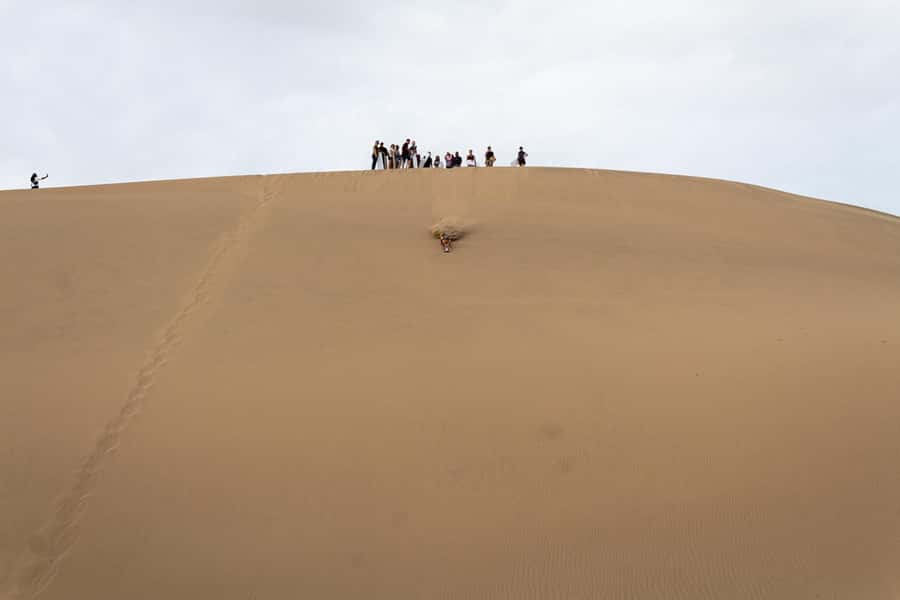 Huacachina: Buggy en las Dunas al Atardecer y Sandboarding - Oasis photo stops: palm trees, small lake, and desert scale
