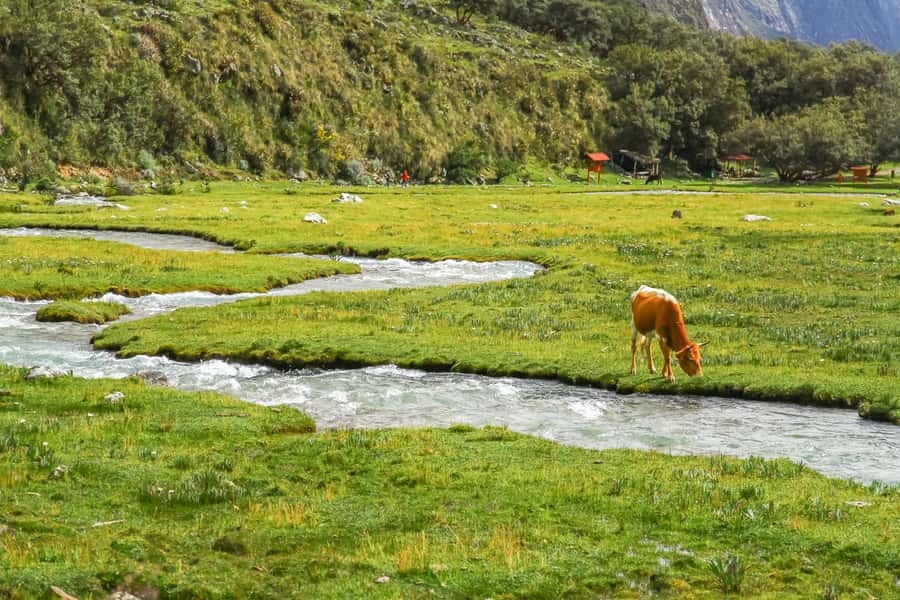 Huaraz: 3-hour Trek to Laguna 69 with Optional Lunch - The descent around 2:00 PM, then back to Huaraz