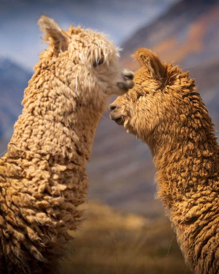 Huaraz: Laguna 69 | Cordillera Blanca | Hike to Lake 69 - Breakfast, park entry, and the Huascarán registration rhythm
