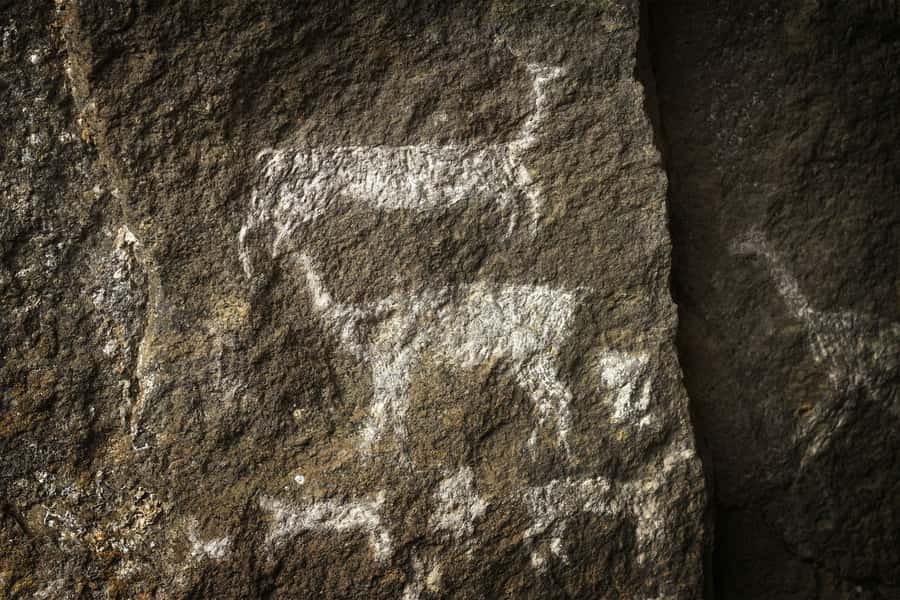 Huaraz: Pastoruri Glacier Day Trip - Cave paintings near the park route: why this stop is worth the time