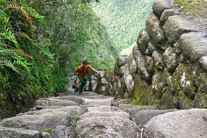 Huayna Picchu and Machu Picchu from Cusco Full day - Back by train to Ollantaytambo, then into Cusco