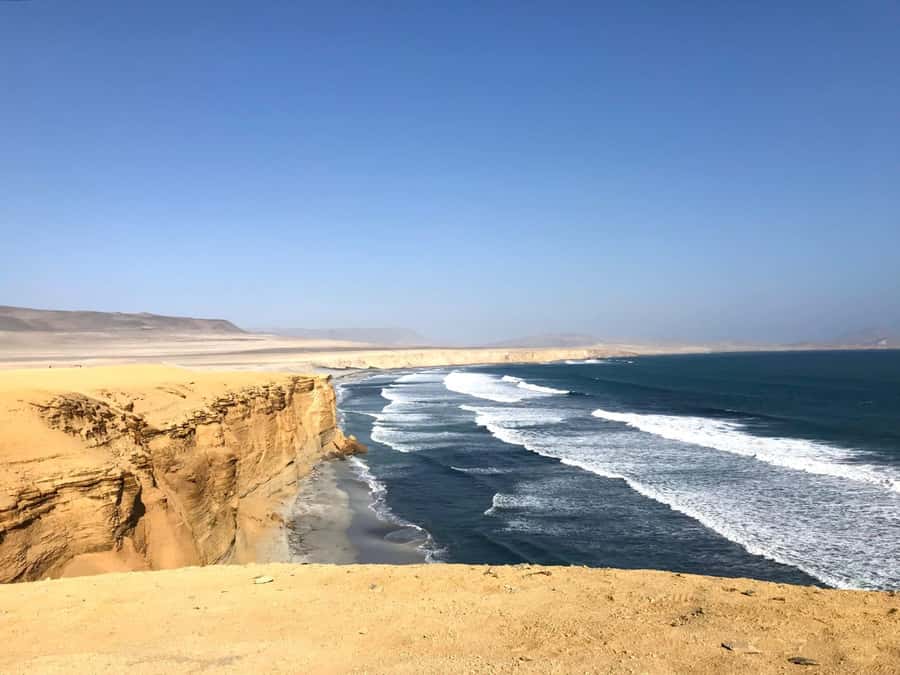 Ica: Ballestas Island & Paracas Reserve Private Tour - Logistics that matter: what to bring, what to avoid