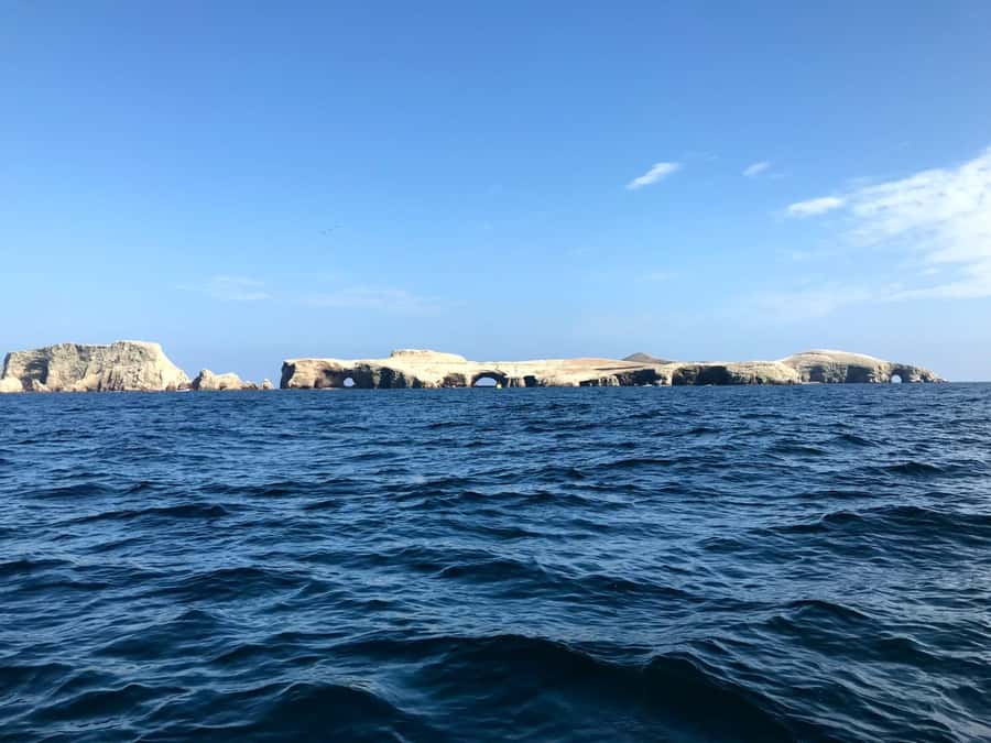 Ica: Ballestas Island & Paracas Reserve Private Tour - Ballestas Islands marine sanctuary: seals, penguins, and birds