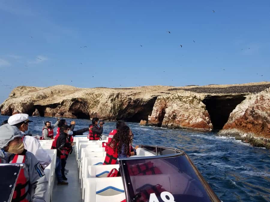 Ica: Ballestas Island & Paracas Reserve Private Tour - What makes this tour good value at $100 per person