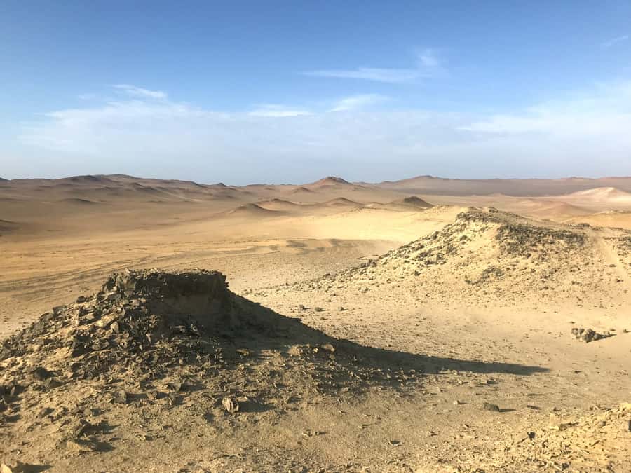 Ica: Ballestas Island & Paracas Reserve Private Tour - Tour pacing and who it suits best
