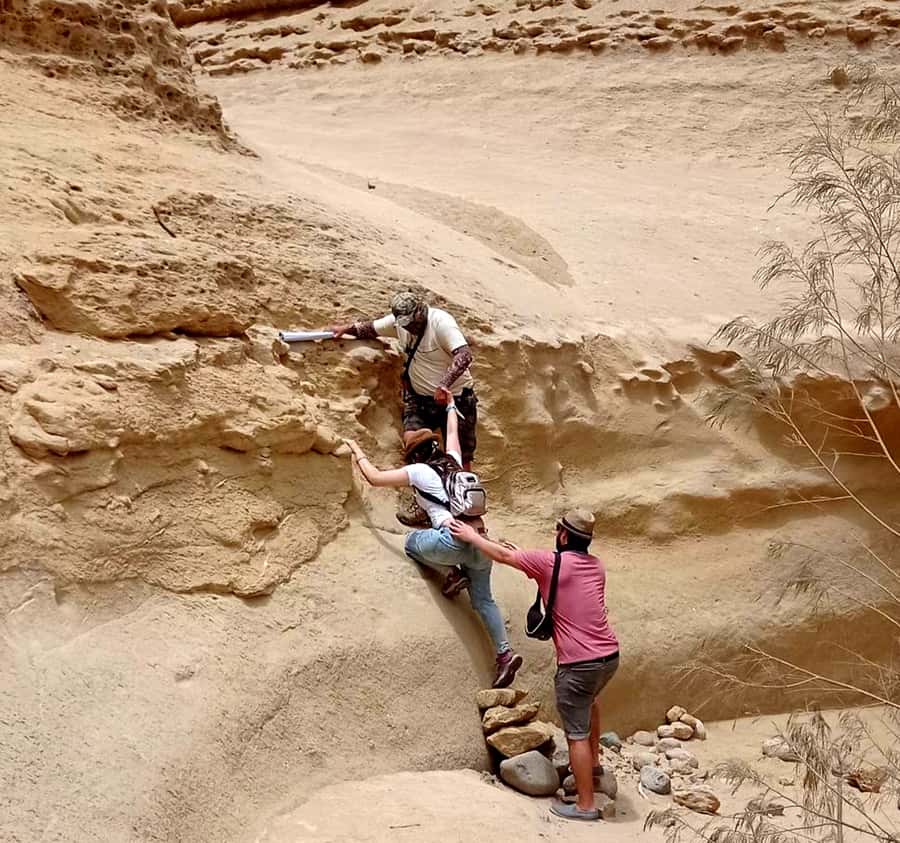 Ica: Canyon of the Lost Tour in Ocucaje Desert - The 1.5-hour canyon descent and fossil remains