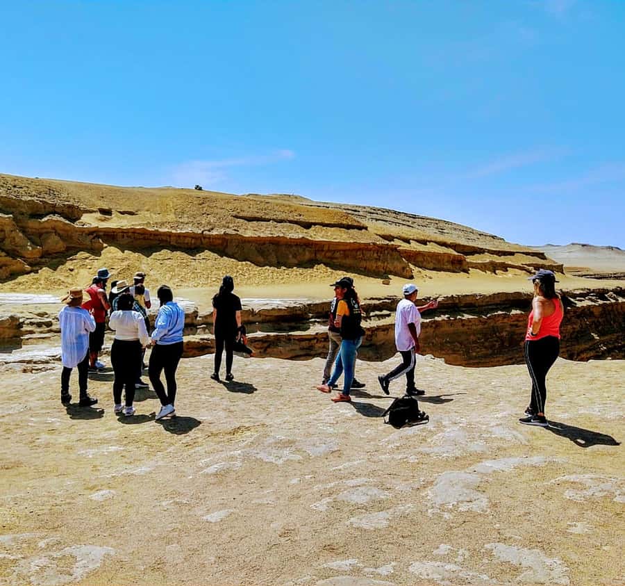 Ica: Canyon of the Lost Tour in Ocucaje Desert - Sand dunes and the wider Ocucaje desert feeling