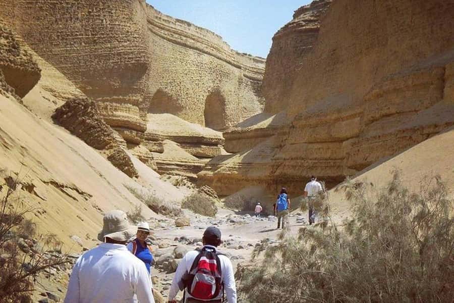 Ica / Huacachina : Canon de los Perdidos - Ica's Hidden Gem - Why the Canyon of the Lost feels different from typical Ica outings
