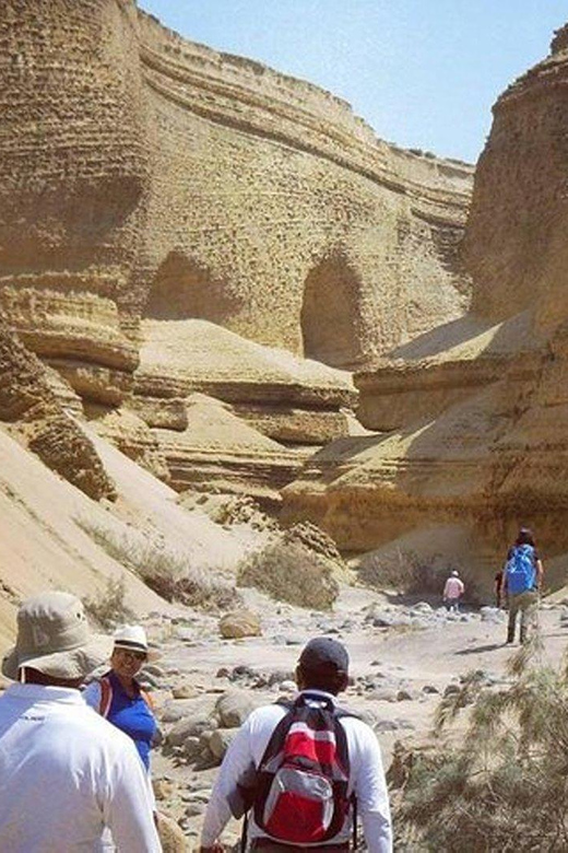 Ica / Huacachina : Canon de los Perdidos - Ica's Hidden Gem - Los Perdidos viewpoint: the crack, the birds, and the canyon depth