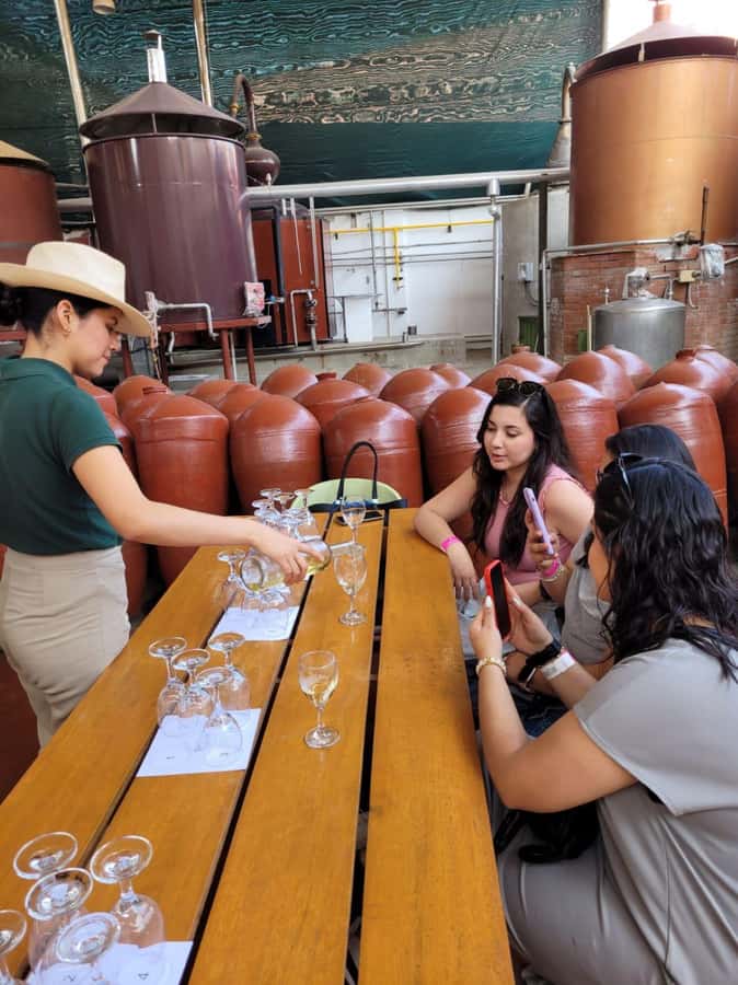 ICA: Pisco and Wine Route with tasting in 03 Wineries - Getting Oriented in Ica, Huacachina, and the Pisco Mindset