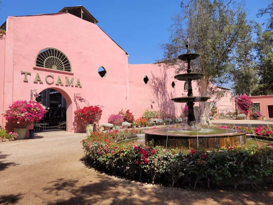 ICA: Pisco and Wine Route with tasting in 03 Wineries - The Pisco Distillation Lesson: Turning Grapes Into Flavor