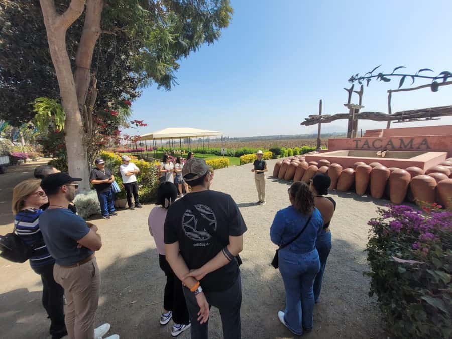 ICA: Pisco and Wine Route with tasting in 03 Wineries - Guided Tasting With a Sommelier: Learning to Taste, Not Just Drink