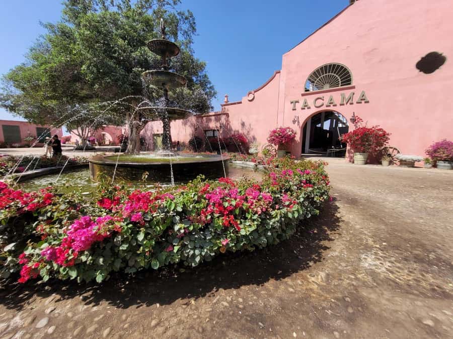 ICA: Pisco and Wine Route with tasting in 03 Wineries - Price and Value: What $29 Buys You Here