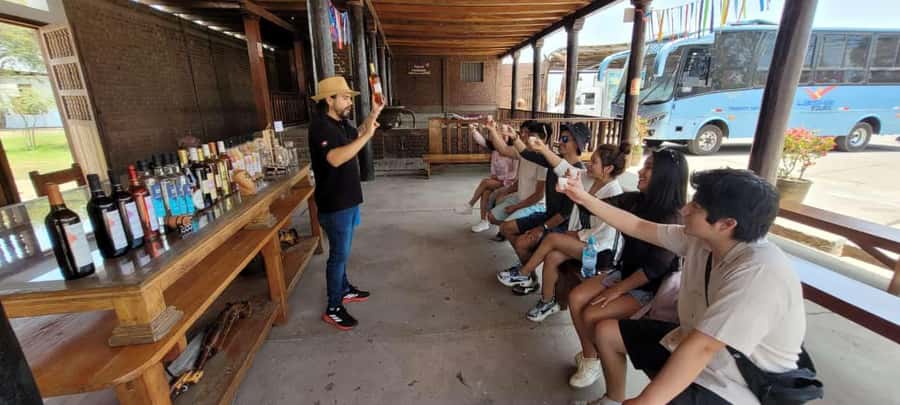 ICA: Pisco and Wine Route with tasting in 03 Wineries - Logistics That Matter: Pickup Time, Pacing, and Comfort
