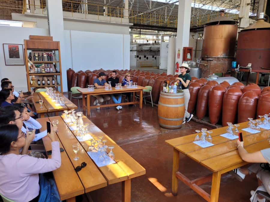 ICA: Pisco and Wine Route with tasting in 03 Wineries - TACAMA Hacienda: Where the Story Begins (and the Clock Starts)