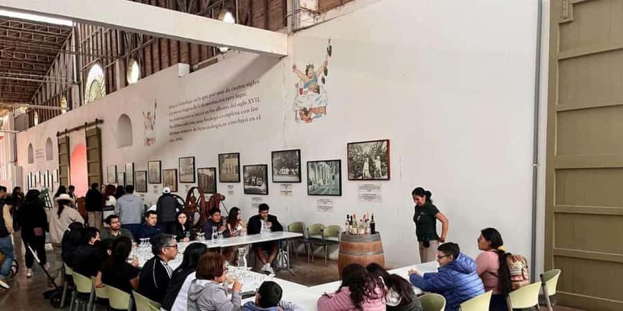 Ica: Tacama Winery and Pisco Tasting Tour with Hotel Pickup - Campiña Iqueña wine country: what you’re really seeing