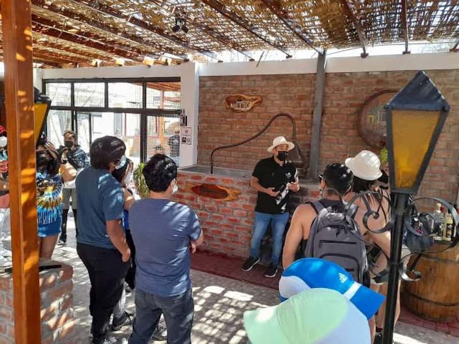 Ica: Tacama Winery and Pisco Tasting Tour with Hotel Pickup - Bodega El Catador: handcrafted Pisco and a tasting you can measure
