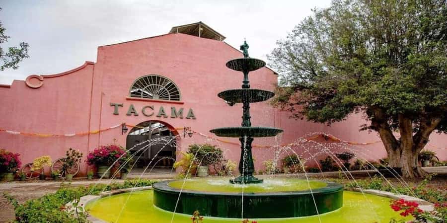 Ica: Tacama Winery and Pisco Tasting Tour with Hotel Pickup - Pickup, small group size, and why it changes the whole day