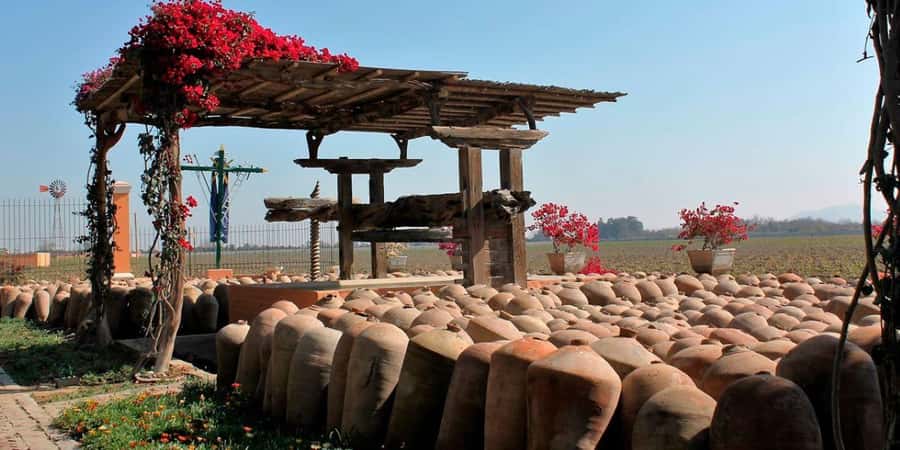 Ica: Winery Tour with Pisco and Wine Tasting - Why Ica Pisco tastes like more than a drink
