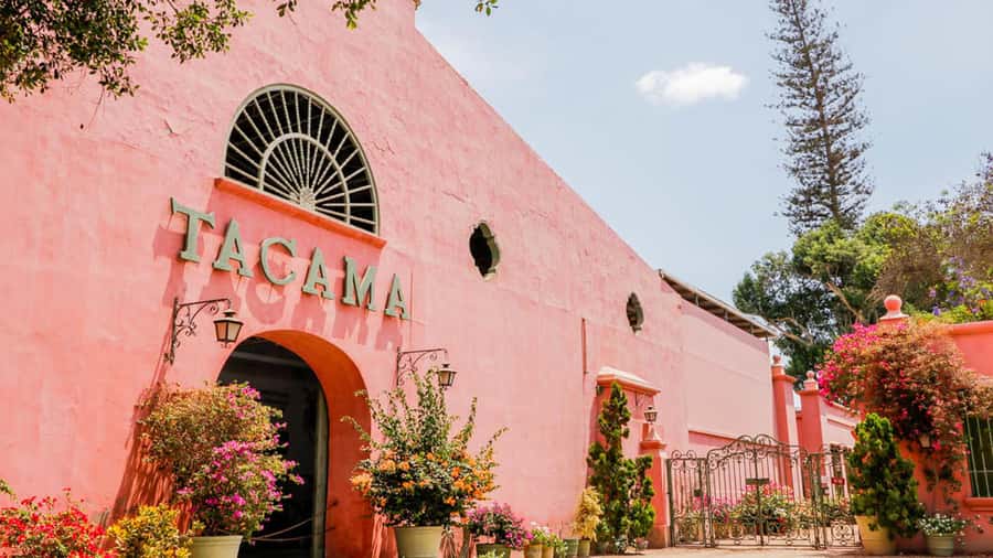 Ica: Winery Tour with Pisco and Wine Tasting - Practical tips for Ica sun, walking time, and tastings