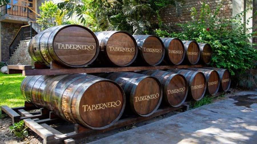 Ica: Winery Tour with Pisco and Wine Tasting - Hotel pickup to the first winery: El Catador and the Pisco story