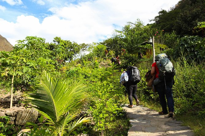 Inca Jungle Premium to Machu Picchu 4-Day and 3-Nights - Group size, guide energy, and how to get the best version of this trip