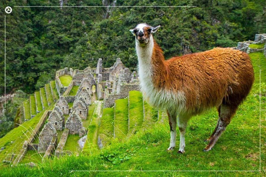 Inca Trail 2 days to Machu Picchu - Day 1 train to km104 and the Chachabamba start