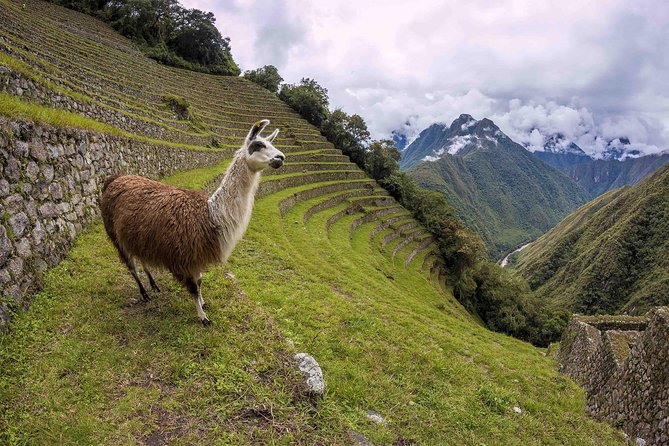 Inca Trail Trek to Machu Picchu - 2 Days (Small Group or Private) - Day 1: The Inca Trail day, your guide’s Machu Picchu rundown, and Aguas Calientes dinner