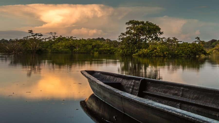 Iquitos: 2 Days and 1 Night Guided Amazon Jungle Tour - Lodge life in the rainforest, food, and what to pack