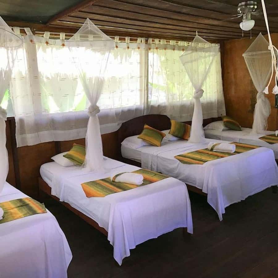 Iquitos: 2 Days and 1 Night Guided Amazon Jungle Tour - Dinner, a cozy bar, and the jungle after dark